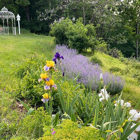La Soledad Lavender Farm And Guesthouse Harpers Ferry Buitenkant foto