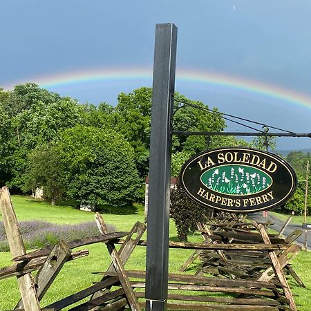 La Soledad Lavender Farm And Guesthouse Harpers Ferry Buitenkant foto
