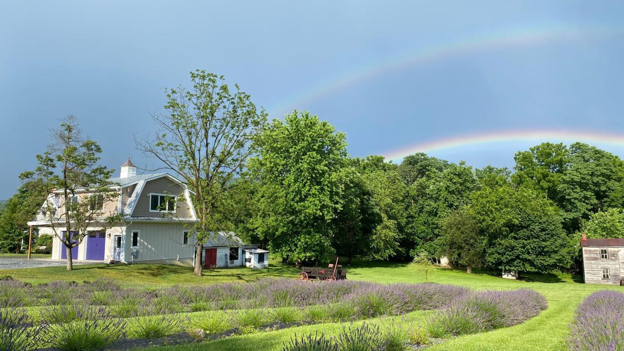 La Soledad Lavender Farm And Guesthouse Harpers Ferry Buitenkant foto