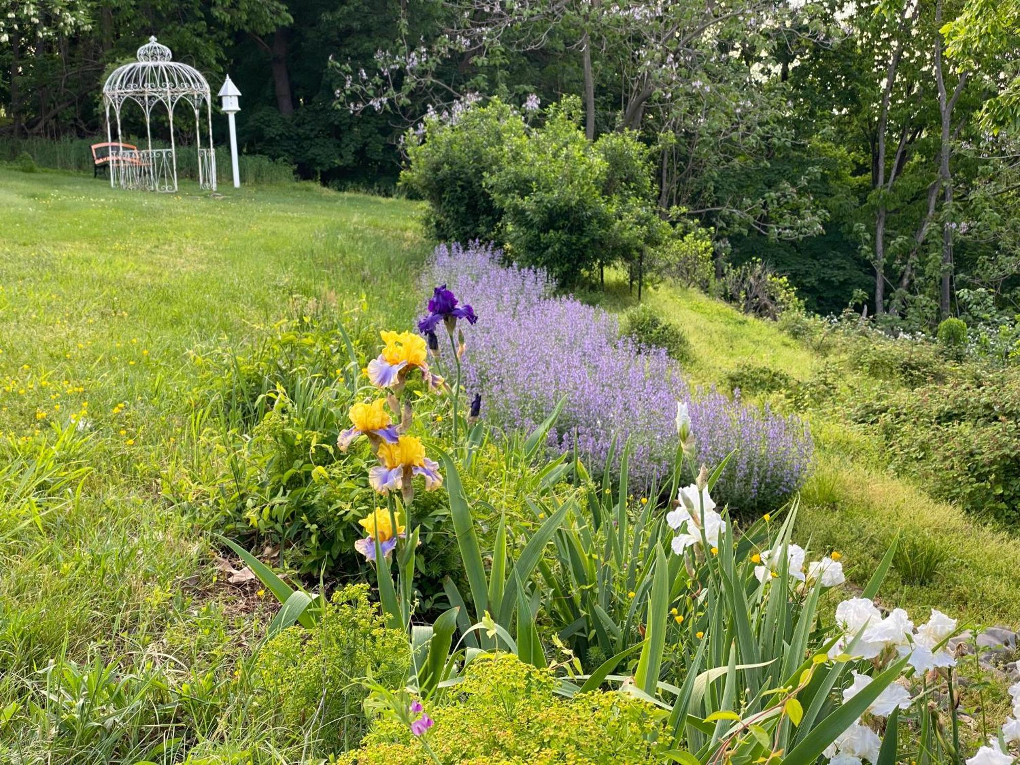 La Soledad Lavender Farm And Guesthouse Harpers Ferry Buitenkant foto