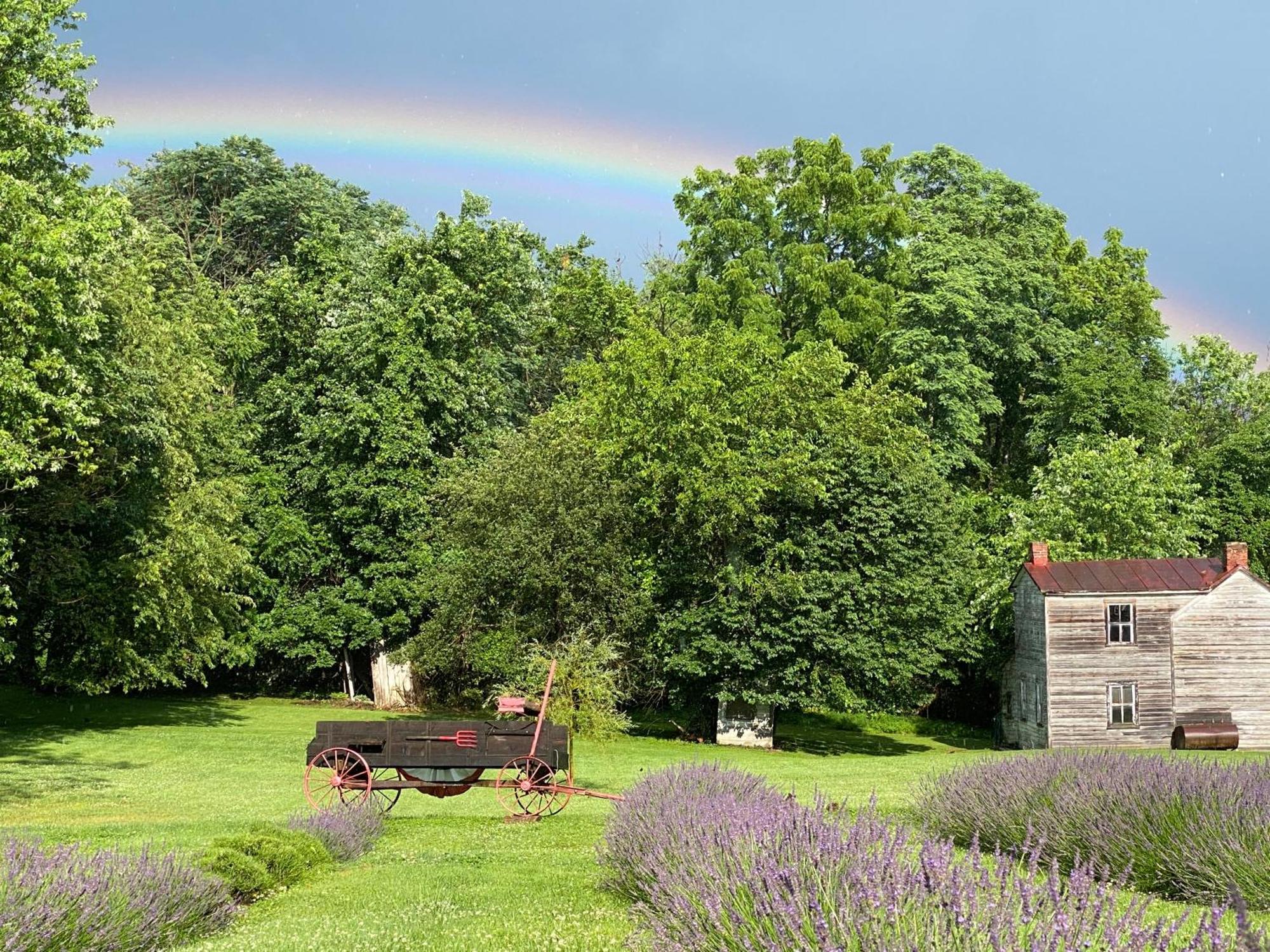 La Soledad Lavender Farm And Guesthouse Harpers Ferry Buitenkant foto