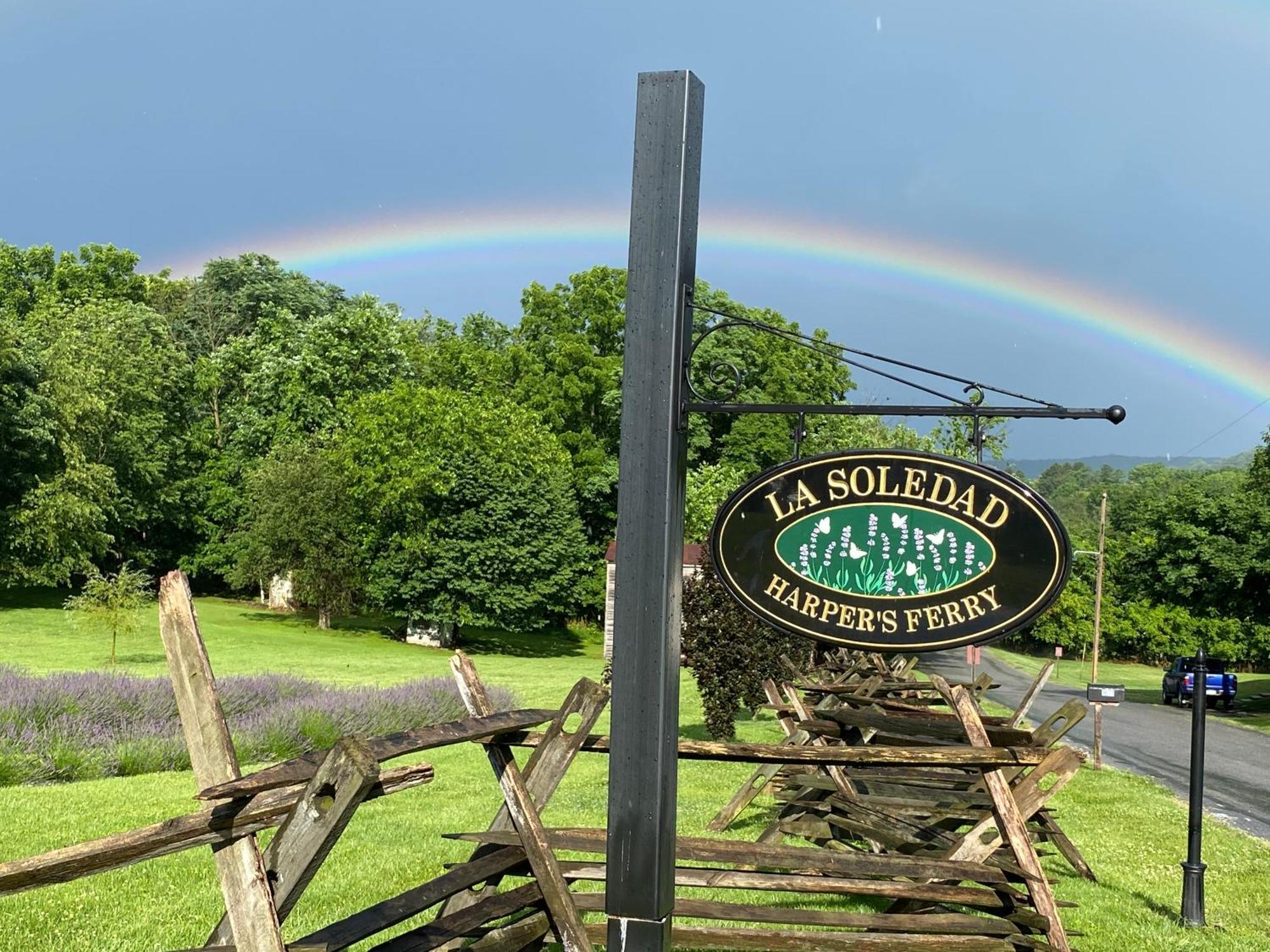 La Soledad Lavender Farm And Guesthouse Harpers Ferry Buitenkant foto